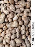 Organic peanuts in shell . Heap of peanut closeup. Стоковое фото, фотограф Наталия Попова / Фотобанк Лори
