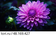 orchid purple flower ai generated. Стоковое AI-изображение, AI-художник Vectorwin / Фотобанк Лори