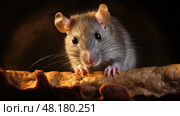 scavenger rat brown ai generated. Стоковое AI-изображение, AI-художник Vectorwin / Фотобанк Лори