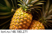 delicious pineappl pineapple fruit ai generated. Стоковое AI-изображение, AI-художник Vectorwin / Фотобанк Лори