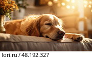 loyal golden retreiver ai generated. Стоковое AI-изображение, AI-художник Vectorwin / Фотобанк Лори