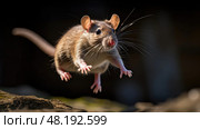 scavenger brown rat ai generated. Стоковое AI-изображение, AI-художник Vectorwin / Фотобанк Лори