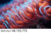 intricate feather star ai generated. Стоковое AI-изображение, AI-художник Vectorwin / Фотобанк Лори