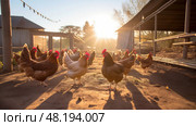 hens beautiful chicken farm ai generated. Стоковое AI-изображение, AI-художник Vectorwin / Фотобанк Лори