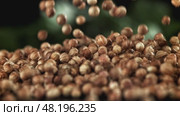 The coriander falls on the table. Filmed on a high-speed camera at 1000 fps. Стоковое видео, видеограф Артем Шадрин / Фотобанк Лори