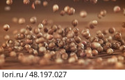 Coriander grains fall on a wooden table. Filmed on a high-speed camera at 1000 fps. Стоковое видео, видеограф Артем Шадрин / Фотобанк Лори