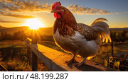 wooden light brahma chicken ai generated. Стоковое AI-изображение, AI-художник Vectorwin / Фотобанк Лори