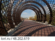 Пергола на входе с Ленинского проспекта на Андреевский пешеходный  мост. Стоковое фото, фотограф Владимир Чинин / Фотобанк Лори