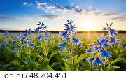 blue borage oil ai generated. Стоковое AI-изображение, AI-художник Vectorwin / Фотобанк Лори