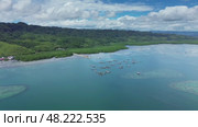 Mangrove sea landscape in tropical coastal region. Стоковое видео, видеограф Михаил Коханчиков / Фотобанк Лори