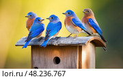 bright eastern blue birds ai generated. Стоковое AI-изображение, AI-художник Vectorwin / Фотобанк Лори