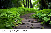vibrant leaf boarders ai generated. Стоковое AI-изображение, AI-художник Vectorwin / Фотобанк Лори