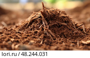 moisture tree mulch ai generated. Стоковое AI-изображение, AI-художник Vectorwin / Фотобанк Лори
