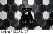 mammals black bears cubs ai generated. Стоковое AI-изображение, AI-художник Vectorwin / Фотобанк Лори