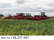 Kaliningrad, RUSSIA - July 29, 2022: Agricultural Exhibition. Agricultural machinery in the field. Редакционное фото, фотограф Ольга Сейфутдинова / Фотобанк Лори