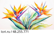 birdofparadise water color tropical plants ai generated. Стоковое AI-изображение, AI-художник Vectorwin / Фотобанк Лори