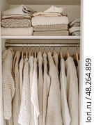 Warm knitwear hanging and folded in minimalist wardrobe. Стоковое AI-изображение, AI-художник Юрий Поздников / Фотобанк Лори