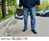 An elderly man holds a cat in a carrier. Pet transportation, traveling with a pet. A close friend of an elderly man. Стоковое фото, фотограф Терехова Марина / Фотобанк Лори