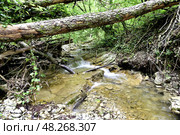 Водопад на ручье Кочкара, впадающем в реку Пшада, Краснодарский край. Стоковое фото, фотограф Оглоблин Андрей Николаевич / Фотобанк Лори