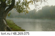 River landscape with fog in the morning, 4k. Стоковое видео, видеограф Михаил Коханчиков / Фотобанк Лори