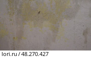 yellow and grey grunge stop motion textures vintage wall pattern stopmotion retro gritty. Стоковое видео, видеограф Mihail Mihaylov / Фотобанк Лори