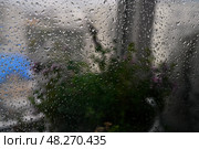 Непогода. Стоковое фото, фотограф Елена / Фотобанк Лори
