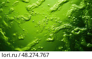pond algae ai generated. Стоковое AI-изображение, AI-художник Vectorwin / Фотобанк Лори