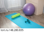 Спортивный инвентарь коврик для йоги, фитбол, гантели и рол в комнате у окна и балкона. Стоковое фото, фотограф Юлия Королева / Фотобанк Лори