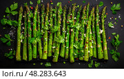 Fresh green asparagus spears with herb, spices and salt on a black stone background. Стоковое AI-изображение, AI-художник Данила Большаков / Фотобанк Лори