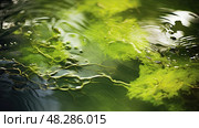 surface algae ai generated. Стоковое AI-изображение, AI-художник Vectorwin / Фотобанк Лори