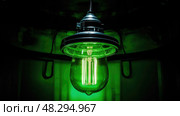 bulb flourescent lights ai generated. Стоковое AI-изображение, AI-художник Vectorwin / Фотобанк Лори