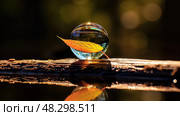 wter a drop of water. Стоковое AI-изображение, AI-художник Vectorwin / Фотобанк Лори
