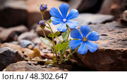 terrain flower blue. Стоковое AI-изображение, AI-художник Vectorwin / Фотобанк Лори