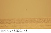 Dust Storm, Arizona, 2023: Hazardous air quality obscures landscape visibility impacting visibility. Стоковое видео, видеограф svetograph / Фотобанк Лори