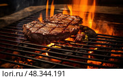 sizzle grill fire ai generated. Стоковое AI-изображение, AI-художник Vectorwin / Фотобанк Лори