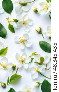 White Cherry or Apple Blossom Flowers with Yellow Stamens, Green Leaves on Bright Background, Flat Lay Spring Floral Composition for Packaging, Greeting Cards, Wallpapers, Decorative Design Projects. Стоковое AI-изображение, AI-художник Сергей Тимофеев / Фотобанк Лори