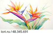 birdofparadise water color tropical plants ai generated. Стоковое AI-изображение, AI-художник Vectorwin / Фотобанк Лори