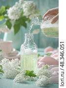 Woman pouring sparkling elderflower cordial into glass bottle on table with white flowers. Стоковое AI-изображение, AI-художник Юрий Поздников / Фотобанк Лори