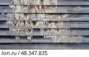 wood house rot ai generated. Стоковое AI-изображение, AI-художник Vectorwin / Фотобанк Лори