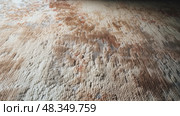 mold water damage texture ai generated. Стоковое AI-изображение, AI-художник Vectorwin / Фотобанк Лори
