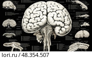 lobe brain black ai generated. Стоковое AI-изображение, AI-художник Vectorwin / Фотобанк Лори