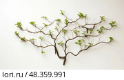 relationships referral tree ai generated. Стоковое AI-изображение, AI-художник Vectorwin / Фотобанк Лори
