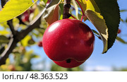 glossy crabapple tree ai generated. Стоковое AI-изображение, AI-художник Vectorwin / Фотобанк Лори