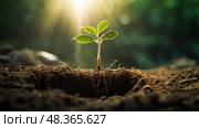 soil tree rooted ai generated. Стоковое AI-изображение, AI-художник Vectorwin / Фотобанк Лори