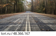 markings road stripes ai generated. Стоковое AI-изображение, AI-художник Vectorwin / Фотобанк Лори