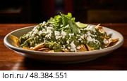 salsa green chilaquiles ai generated. Стоковое AI-изображение, AI-художник Vectorwin / Фотобанк Лори