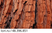 age giant sequoia trees ai generated. Стоковое AI-изображение, AI-художник Vectorwin / Фотобанк Лори