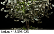 abundance money on trees ai generated. Стоковое AI-изображение, AI-художник Vectorwin / Фотобанк Лори