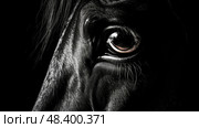 tones stary night background ai generated. Стоковое AI-изображение, AI-художник Vectorwin / Фотобанк Лори
