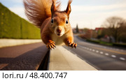 barrier squirrel road ai generated. Стоковое AI-изображение, AI-художник Vectorwin / Фотобанк Лори